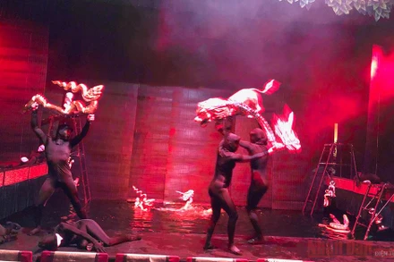 Các nghệ sĩ biểu diễn trong đơn vị nghệ thuật công lập được hỗ trợ.