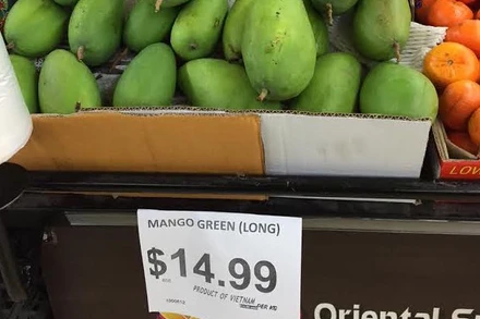 Quả xoài Việt ngày càng được ưa chuộng tại Australia