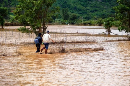 Đến khoảng 10 giờ sáng nay, tại xã Hiệp An, nước vẫn chưa rút hết.