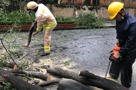 Cảnh sát giao thông cùng nhân viên Công ty Cây xanh thành phố kịp thời có mặt, xử lý sự cố cây xanh gãy đổ.