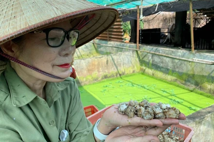 Thiếu tá Nguyễn Thị Liên.