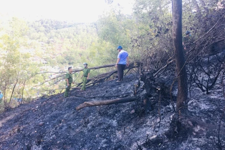 Hiện trường vụ cháy tại núi Bà Hỏa thuộc phường Đồng Đa, thành phố Quy Nhơn, tỉnh Bình Định.