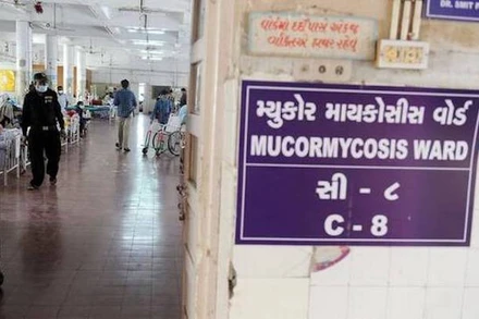 Ảnh minh họa. (Nguồn: The Hindu)