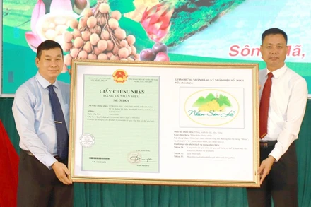 Cục Sở hữu trí tuệ trao Giấy chứng nhận đăng ký nhãn hiệu “nhãn Sơn La” cho tỉnh Sơn La.