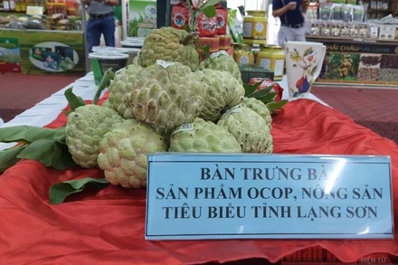 Tổng giá trị sản xuất na thu được ước đạt 1.200 tỷ đồng.