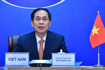 Bộ trưởng Ngoại giao Bùi Thanh Sơn . (Ảnh: Bộ Ngoại giao)