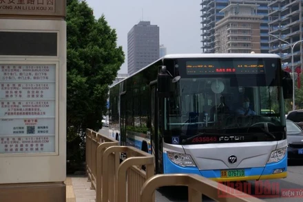 Xe buýt điện đang dần thay thế xe buýt động cơ đốt trong. 