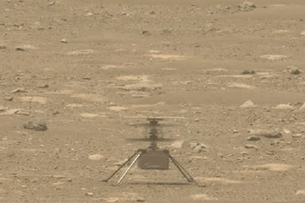 Trực thăng Ingenuity của NASA trong một chuyến bay trên sao Hỏa. (Ảnh cắt từ clip của NASA).