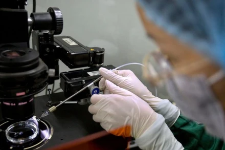 Nghiên cứu về gen tại một phòng thí nghiệm ở Thâm Quyến, tỉnh Giang Đông, Trung Quốc. Ảnh: AP.