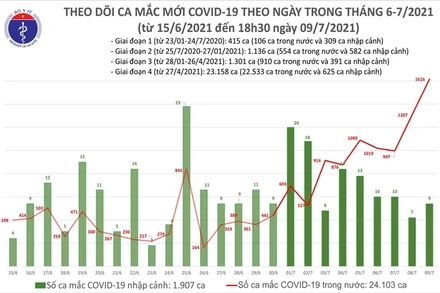(Nguồn: Bộ Y tế)