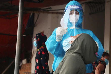 Tiểu thương chợ đầu mối tại Vinh sẽ phải xét nghiệm PCR mỗi tuần một lần theo nhóm.