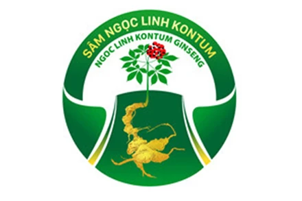 Nhãn hiệu Sâm Ngọc Linh Kon Tum được cấp Giấy chứng nhận đăng ký nhãn hiệu số 387997 cho chủ giấy chứng nhận là UBND tỉnh Kon Tum. 