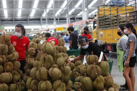 Mặt hàng sầu riêng của Thái Lan có giá trị xuất khẩu tăng 172% so cùng kỳ năm trước. (Ảnh: Bưu điện Bangkok)