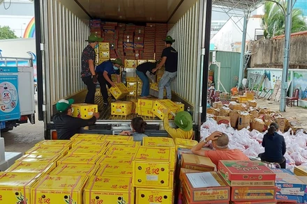 Đặc sản vùng Bình Thuận như mắm, mắm hũ, bột nêm, muối đã được người dân quyên góp gửi tặng TP Hồ Chí Minh. (Ảnh: Xuân Khu/TTXVN)