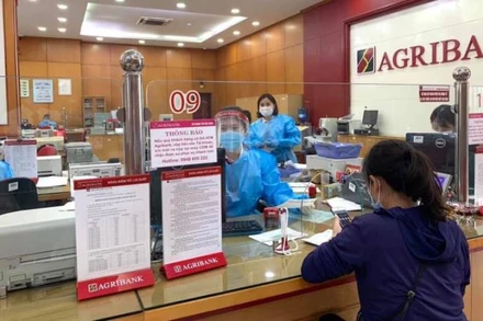 Giao dịch khách hàng tại chi nhánh Agribank.