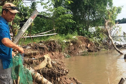 Sạt lở bờ sông làm gần 500m2 đất của gia đình ông Tính (Bến Tre) trôi xuống sông.