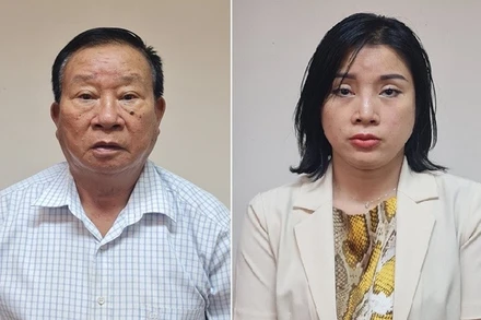 Hai bị can vừa bị khởi tố. 