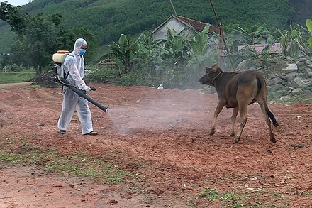 Công tác kiểm soát dịch bệnh trong nông nghiệp, thủy sản, trồng trọt, chăn nuôi là vô cùng quan trọng. (Ảnh minh họa)