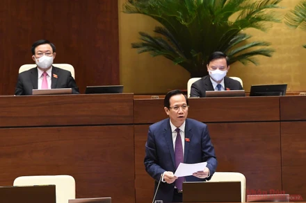 Bộ trưởng Lao động - Thương binh và Xã hội Đào Ngọc Dung.(Ảnh: QUANG HOÀNG)