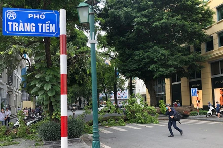 Cây đổ chắn ngang đường Lý Thái Tổ.