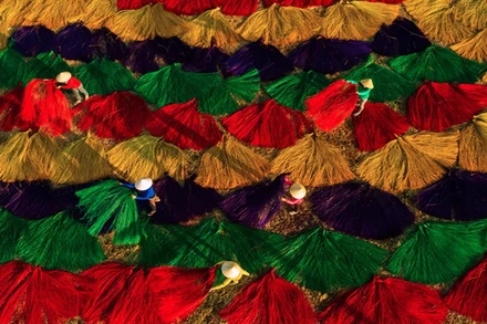 Ảnh minh họa. (Nguồn: Hội Nghệ sĩ nhiếp ảnh Việt Nam)