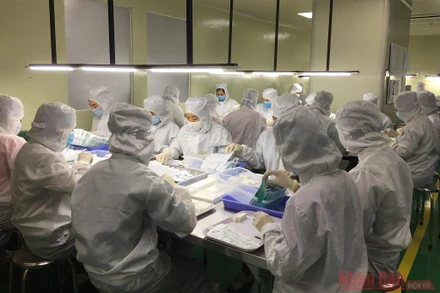 Nhà máy sản xuất test nhanh kháng nguyên Trueline Covid-19 Ag Rapid Test của công ty TNHH Medicon đang nâng công suất tối đa để đáp ứng nhu cầu truy vết Covid-19 ở nhiều địa phương trong cả nước.