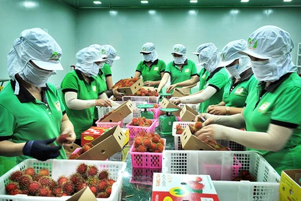 Hoa Kỳ sẽ không hạn chế thương mại đối với hàng hóa xuất khẩu của Việt Nam