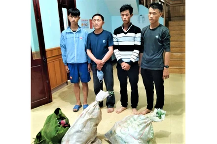 Bốn đối tượng Thào Chuẩn Thảng, Sùng Mí Phứ, Sùng Mí Vư và Sùng Mí Thắng cùng tang vật khi bị bắt giữ.