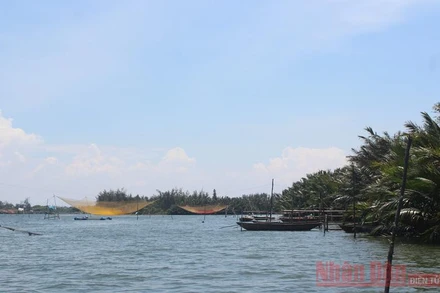 Sông Thu Bồn không những thu hút ánh nhìn từ cảnh đẹp mà còn là ngư trường nhỏ, tạo sinh kế cho những người dân ven bờ. Tại đây, sẽ bắt gặp nhưng cây cầu hẫng của những gia đình có vó bắt cá đã bắc cầu, neo thuyền bên bờ sông.