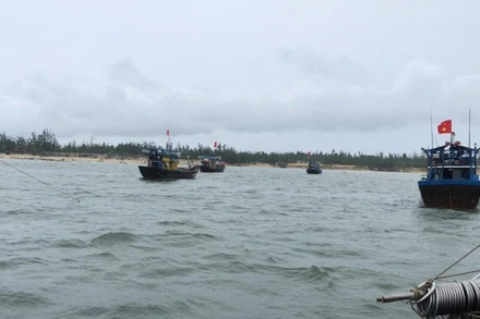 Huy động lực lượng, phương tiện trục vớt tàu bị chìm.