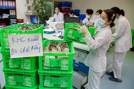 1.000 đơn vị máu mới tiếp nhận với hạn sử dụng dài (đến đầu tháng 9/2021) được cung cấp cho Bệnh viện Chợ Rẫy.