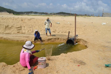 Lực lượng chức năng tỉnh Phú Yên kiểm tra lấy mẫu tại vị trí cống xả thải của Công ty Trí Huệ tại cơ sở nuôi tôm thôn Phước Đồng, xã An Hòa Hải, huyện Tuy An ( ảnh chụp tháng 4/2020).