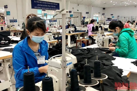 Sản xuất tại Công ty TNHH May mặc An Thắng, huyện Đông Anh, Hà Nội. (Ảnh: NGUYÊN TRANG)