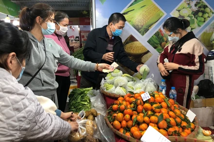 Người tiêu dùng tìm mua các sản phẩm của tỉnh Sơn La tại Tuần hàng trái cây, nông sản các tỉnh, thành phố tại Hà Nội năm 2021.