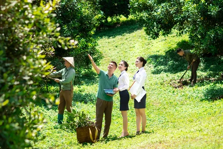 Tại Việt Nam, nông nghiệp là một trong những lĩnh vực được ưu tiên phát triển.