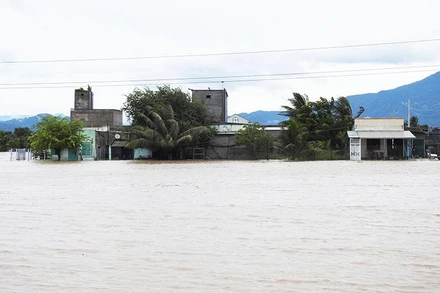 Một khu nhà dân ở vùng trũng thuộc xã Hộ Hải, huyện Ninh Hải, tỉnh Ninh Thuận bị cô lập giữa biển nước.
