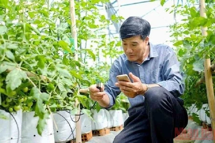 (Ảnh minh họa: MAI VĂN BẢO)