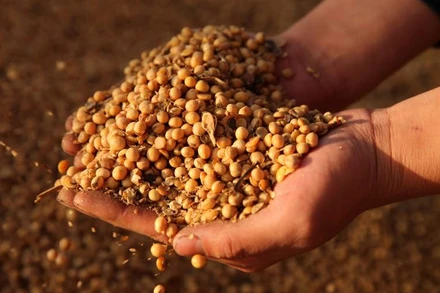 Ảnh minh họa. (Nguồn: Reuters)