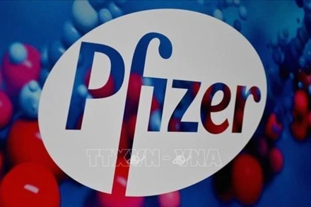 Biểu tượng hãng dược phẩm Pfizer (Mỹ). (Ảnh: Bloomberg/TTXVN)