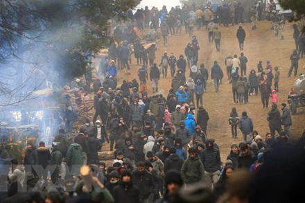 Người di cư dựng trại tạm ở Belarus, giáp giới với Ba Lan ngày 14/11/2021. (Ảnh: TTXVN)