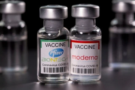 Vaccine ngừa Covid-19 của Pfizer và Moderna. (Ảnh: Reuters)