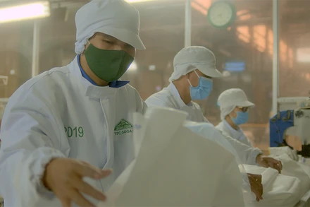 Nguồn nhân lực được SBT xem là “tài sản quý giá nhất” của Công ty