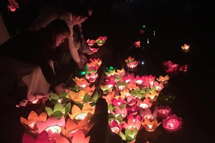 Ảnh minh họa. (Ủy ban An toàn giao thông quốc gia cung cấp)