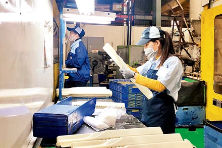 Lao động tại Công ty cổ phần Nhựa Hiệp Hòa - Việt Nam, huyện Đông Anh, Hà Nội (Ảnh minh họa).