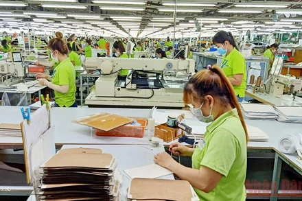 Người lao động tham gia bảo hiểm thất nghiệp được hỗ trợ theo Nghị quyết số 116/NQ-CP của Chính phủ.