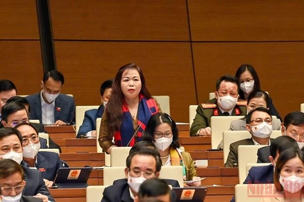 Đại biểu Vũ Thị Lưu Mai (Hà Nội) phát biểu thảo luận tại hội trường chiều 8/11. (Ảnh: LINH NGUYÊN)