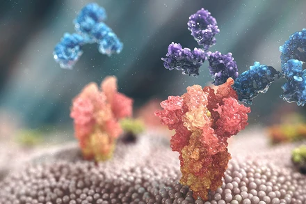 AZD7442 có hiệu quả và khả năng phòng ngừa Covid-19 lâu dài