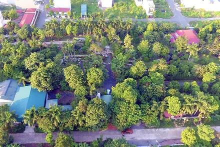 Toàn cảnh khu “đất vàng” dự án của Công ty cổ phần Thanh Út. 