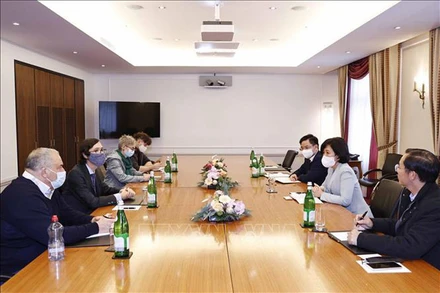 Phó Trưởng Ban Đối ngoại Trung ương Nguyễn Thị Hoàng Vân tiếp ông Alexandre Eniline, đồng Chủ tịch Đảng Lao động Thụy Sĩ và các thành viên Ban Lãnh đạo của Đảng. (Ảnh: TTXVN)