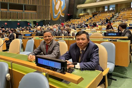 Đại sứ Nguyễn Hồng Thao (trái) tại cuộc bầu cử. (Ảnh: TTXVN)